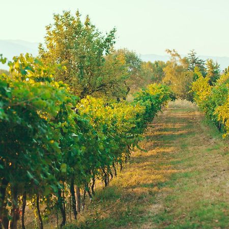 Asolo Norah'S Hill Agri Rooms Monfumo Eksteriør bilde